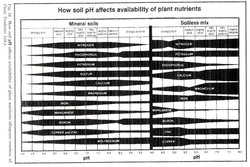 Смотреть вторую: Soilless Mix, т.е. раствор