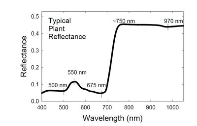 typical%20plant%20reflectance%20in%20visible%20and%20NIR%20range%20with%20StellarNet%20spectrometer[1].JPG