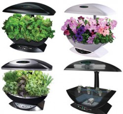 AeroGarden