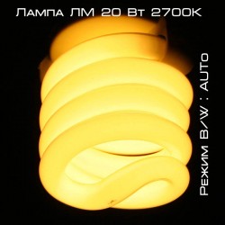 lamp1.jpg