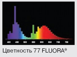 fluora_77.jpg